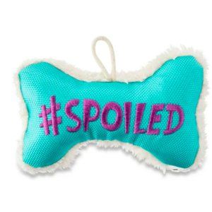 Vibrant Life Cozy Buddy Squeaky Bone Dog Toy, #Spoiled, Chew Level 1